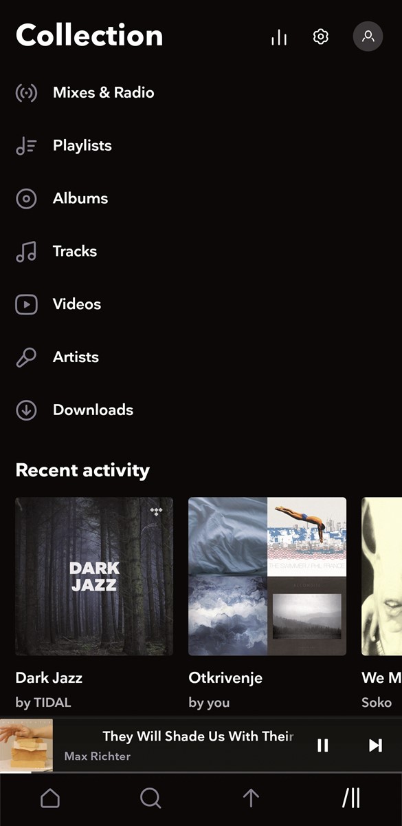 Mobilna aplikacija u sekciji "Collection" organizira našu selekciju glazbe prema albumima, izvođačima, playlistama i preuzetim sadržajima, pa slušanju možemo pristupiti bez probijanja kroz nepreglednu gomilu preporuka